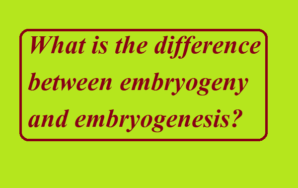 What is the difference between embryogeny and embryogenesis?