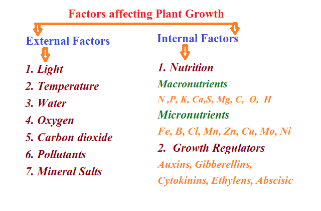 plant growth factors
