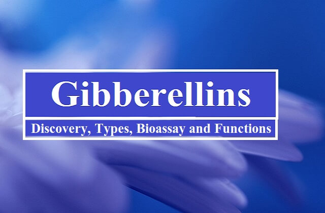 Gibberellins: Overview, Discovery, Types, Bioassay and Functions