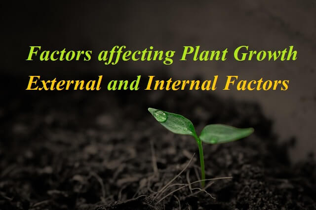 Factors affecting Plant Growth