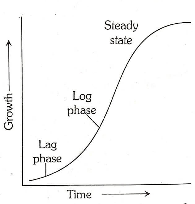 Plant Growth and Development: Sigmoid Growth Curve
