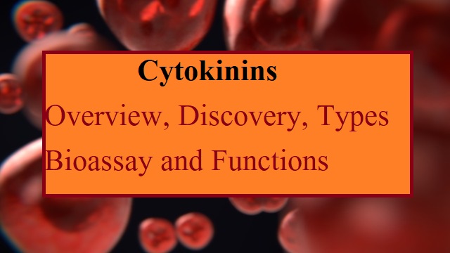 Cytokinins: Overview, Discovery, Types, Bioassay and Functions
