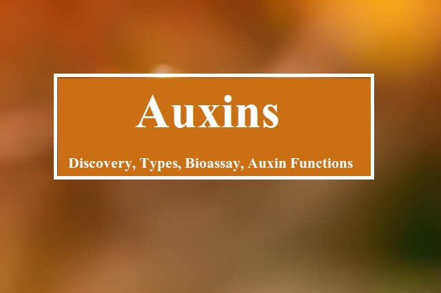 Auxins: Overview, Discovery, Types of auxins, Bioassay, Auxin Functions