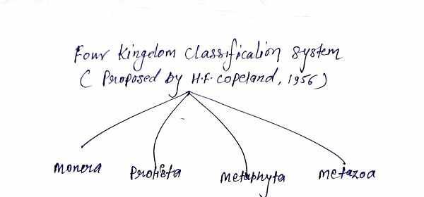 Four kingdom classification 