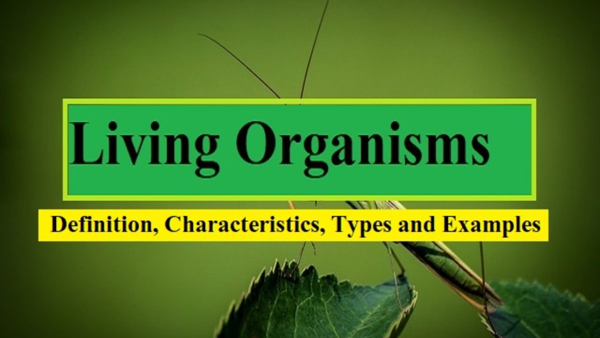 Living things - Definition, Characteristics and Examples