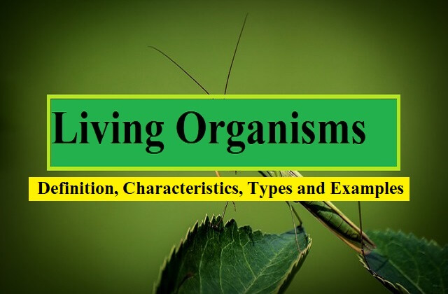 Living Organisms: Definition, Characteristics, Types and Examples