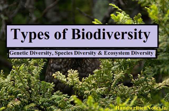 Types of Biodiversity Genetic Diversity, Species Diversity & Ecosystem Diversity