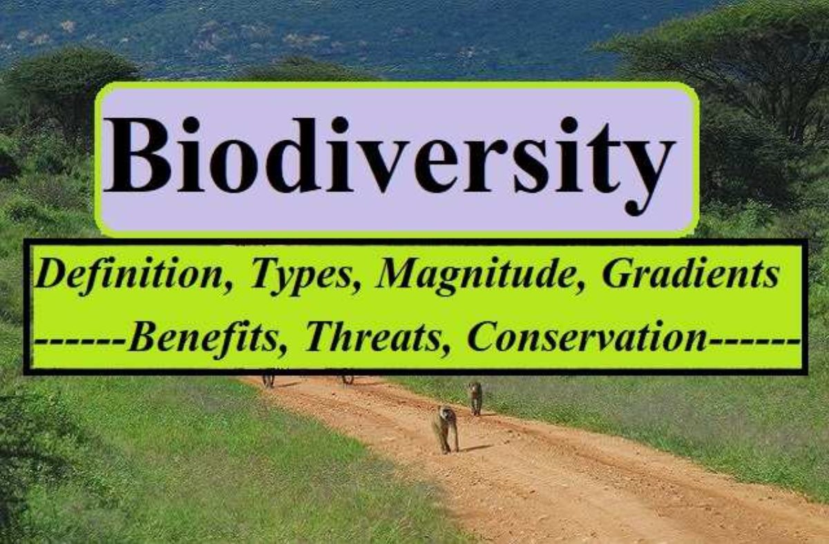 Biodiversity: Definition, Types, Benefits, Threats, and More