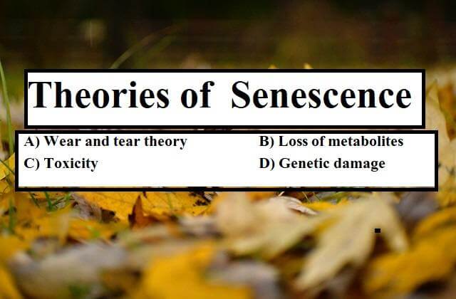 Theories of  Senescence 