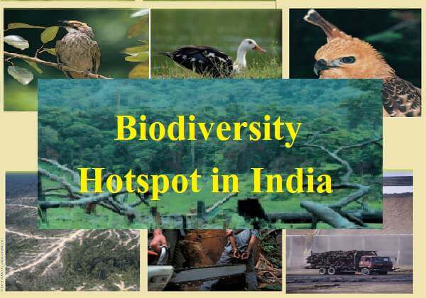 Biodiversity Hotspot in India The Western Ghats, Eastern Himalaya, Sundaland & Indo-Burma