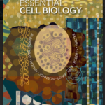 Biology Notes: Essential Cell Biology