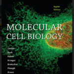 Molecular Biology PDF  