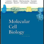 Molecular biology by Lodhis, Berk 5th Edition