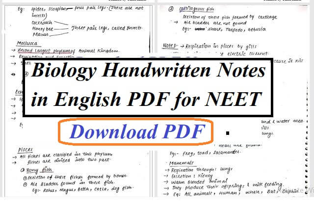 Biology Handwritten Notes in English PDF for NEET 2020
