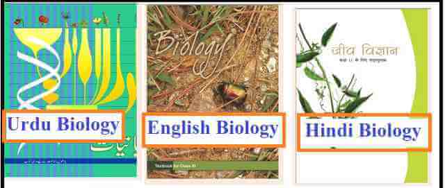 NCERT Biology for Class 11: Download Complete PDF Book (Free)