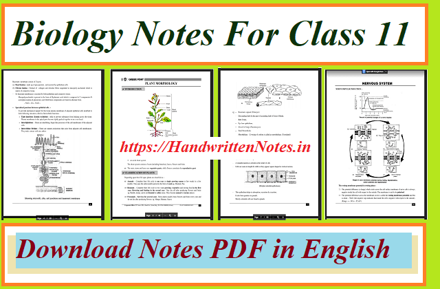 1. Download Biology Notes For Class 11 in English