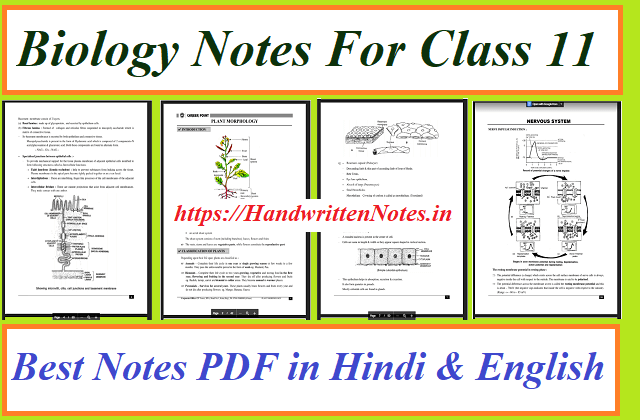 Biology Notes For Class 11: Download PDF in Hindi and English