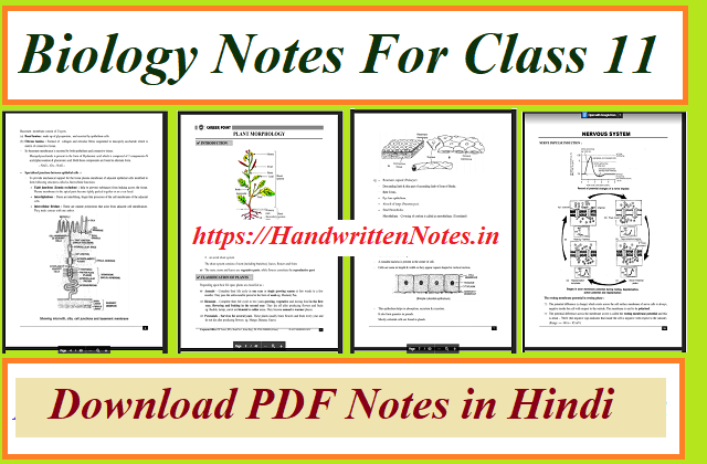 1. Download Biology Notes For Class 11 in Hindi