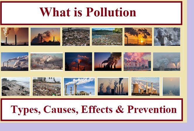 What is Pollution Types, Causes, Effects & Prevention