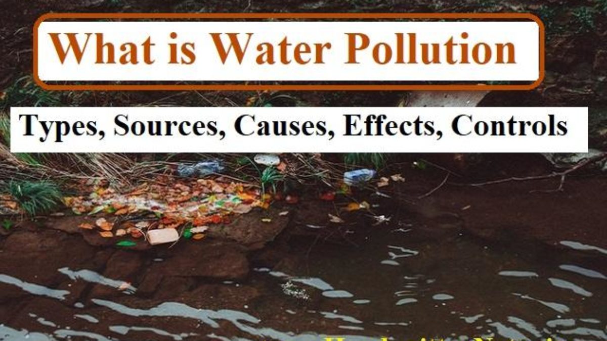 Water Pollution Definition - Types, Causes, Effects