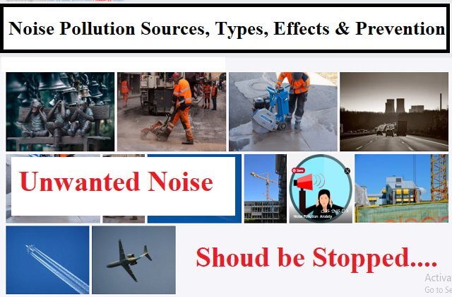 essay about noise pollution cause and effect