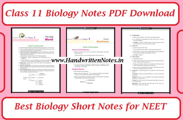 Class 11 Biology Notes PDF Download | Best Biology Short Notes for NEET
