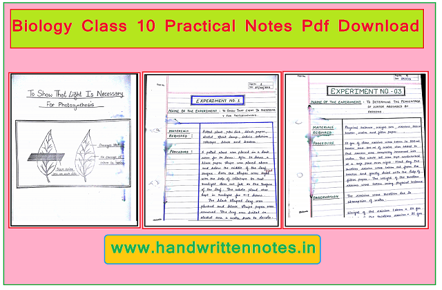 Biology Class 10 Practical Notes Pdf Download