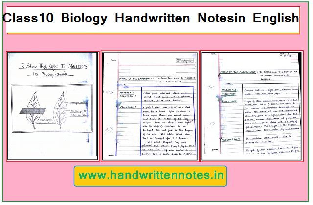 Class 10 Biology Handwritten Notes in English